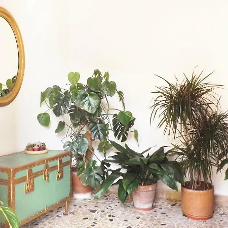 Apartament Da Luchia Dorgali